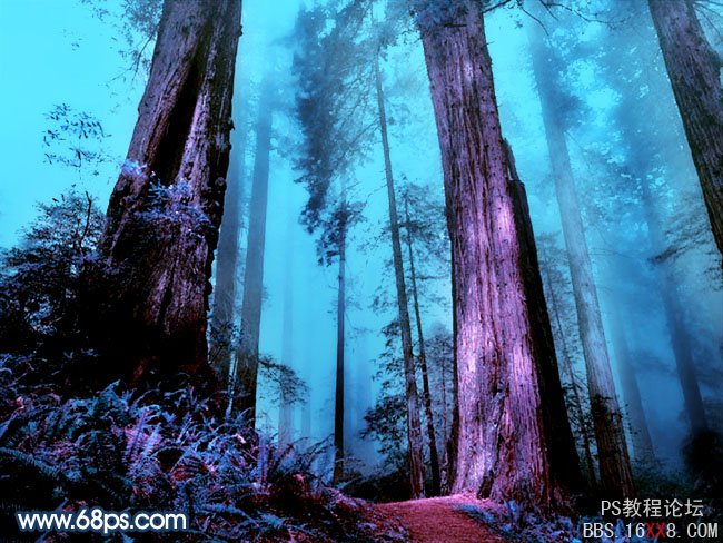 PS打造暗调蓝紫色的森林图片