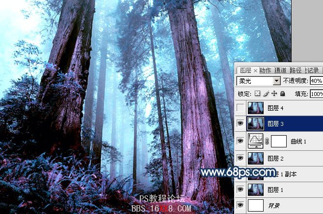 PS打造暗调蓝紫色的森林图片