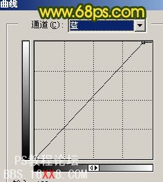 PS调色打造斑斓的花朵图片