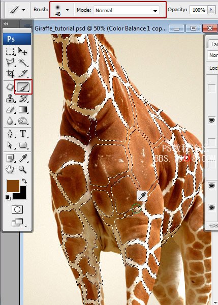 PhotoShop给长颈鹿脱去外衣的有趣教程
