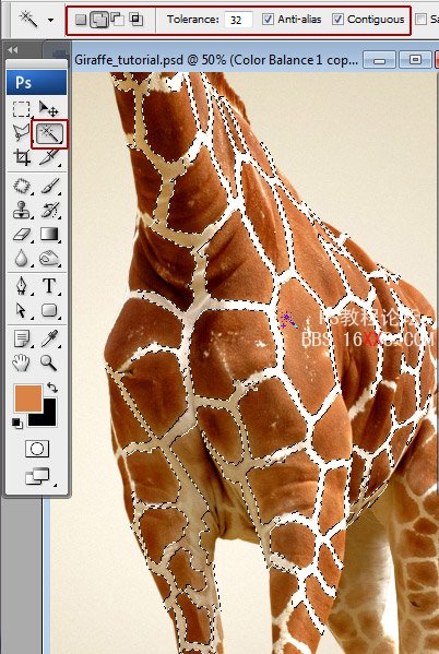PhotoShop给长颈鹿脱去外衣的有趣教程