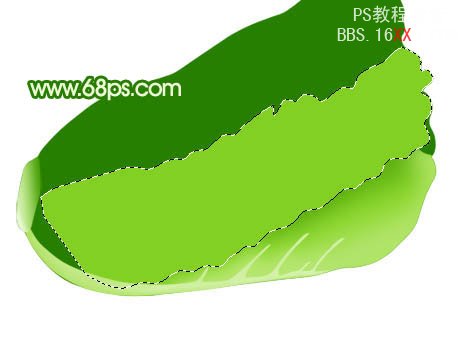 PS教程:绘制一棵新嫩的白菜