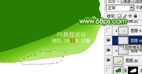 PS教程:绘制一棵新嫩的白菜