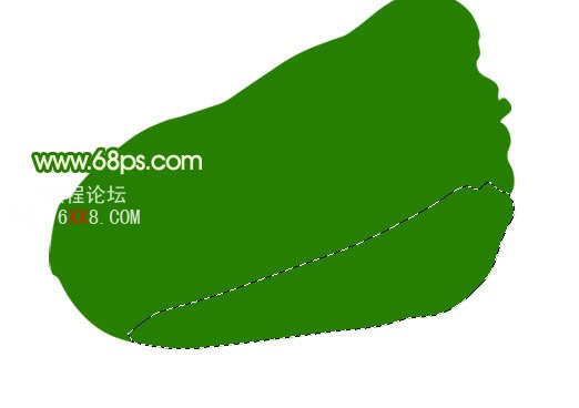 PS教程:绘制一棵新嫩的白菜