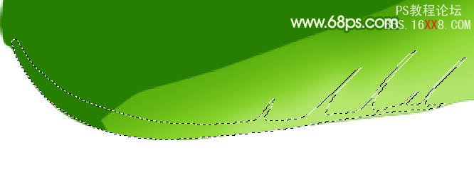 PS教程:绘制一棵新嫩的白菜