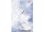  Photoshop照片合成教程:打造云端舞蹈的天使