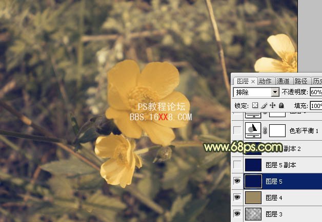 【Photoshop】调出花朵图片强对比的暗黄色※『叙永人』为您整理※