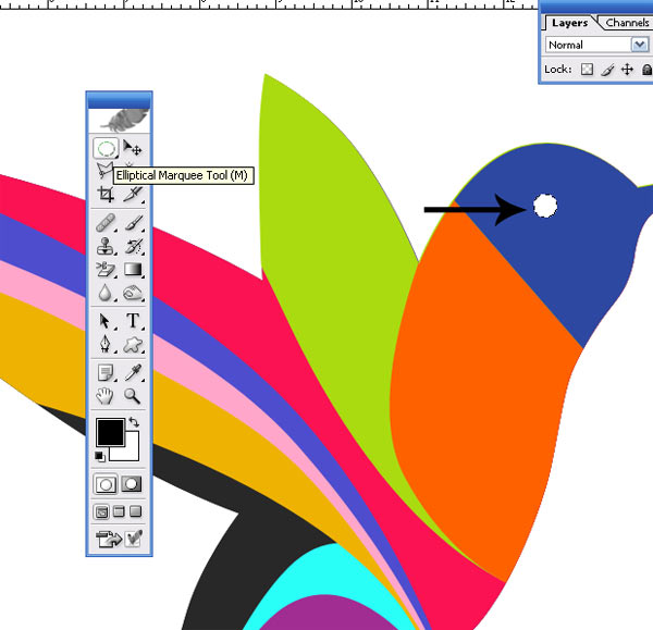Colorful Humming Bird K Make Colorful Humming Bird Vector in Photoshop