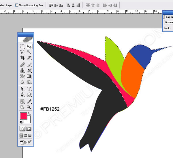 Colorful Humming Bird F Make Colorful Humming Bird Vector in Photoshop