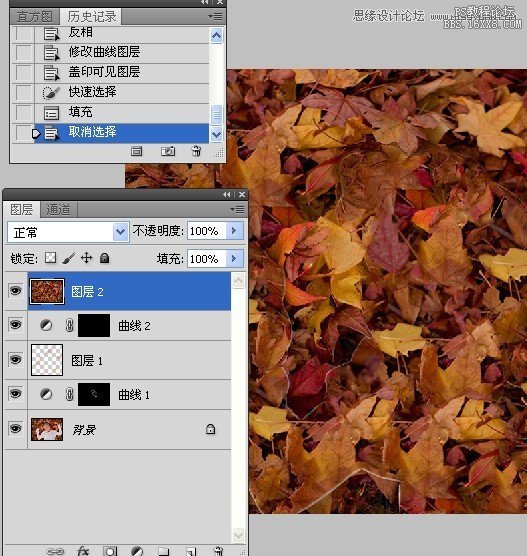 Photoshopɫ,PS̳,16xx8.com̳̾W(wng)