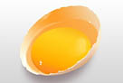 ps鼠绘鸡蛋及蛋黄