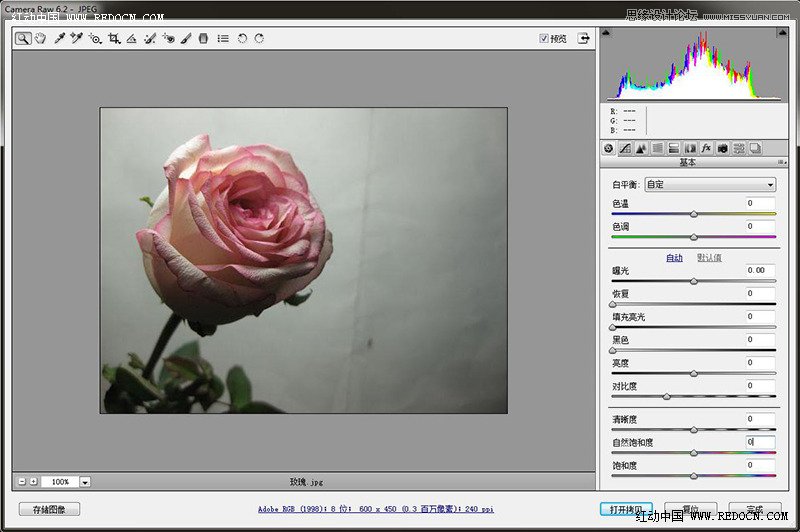 Photoshop调出清新的柔美玫瑰效果
