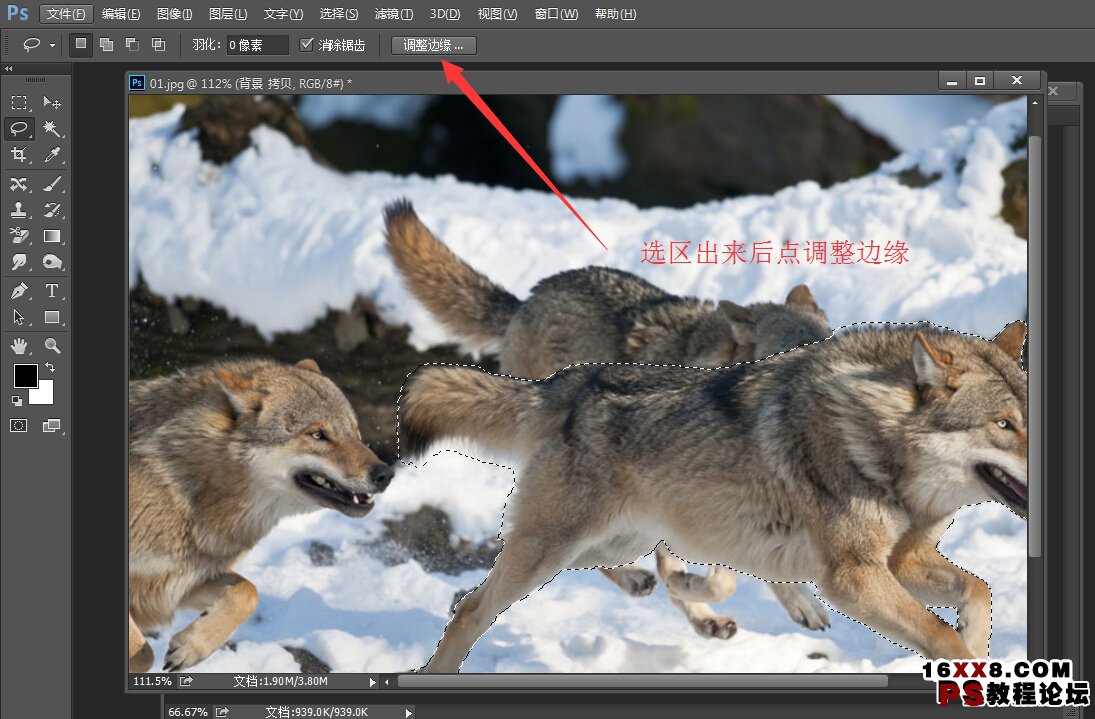 雪地合成，Photoshop合成冲出雪地的狼特效