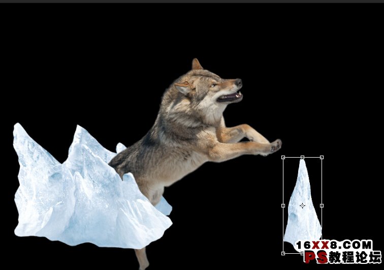 雪地合成，Photoshop合成冲出雪地的狼特效