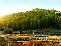 農場風景，利用ACR快速調整農場風景照片色彩