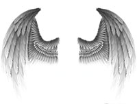 翅膀素材，一张正面天使羽毛翅膀图片