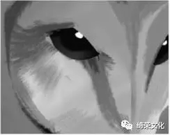 插画教程，在Adobe Photoshop中创建奇幻手绘猫头鹰_www.xiutujiang.com