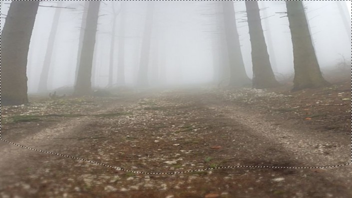 场景合成，合成一个奇幻神秘森林场景教程