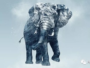 动物恶搞，PS打造雪峰质感大象