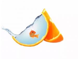 場景合成，在PS中合成一款橙子魚缸