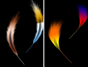 羽毛教程，在PS中制作漂亮的羽毛效果