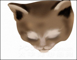 心得交流：Photoshop鼠绘可爱的小猫