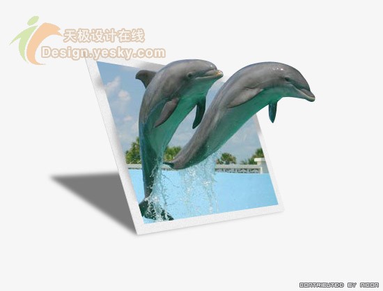 Photoshop打造跃出照片的海豚特效