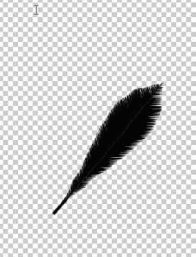 PhotoShop打造舞动的羽毛效果