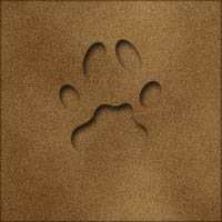Footprint with Inner shadow