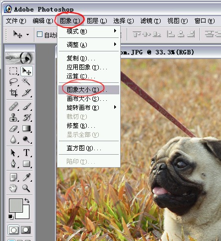  （新手问题）ＰＳ大图片如何缩小减肥【多图】