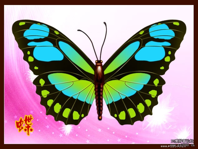 Photoshop鼠绘教程:绘制逼真的美丽蝴蝶