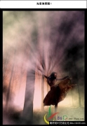 Photoshop效果教程：射穿丛林舞者的光线
