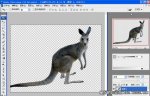 Photoshop cs4教程：抽出滤镜应用