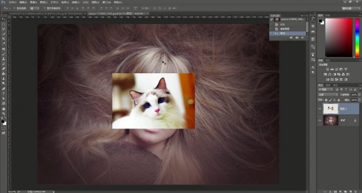 人像恶搞，用Photoshop中的蒙版合成一个奇幻的猫脸女孩
