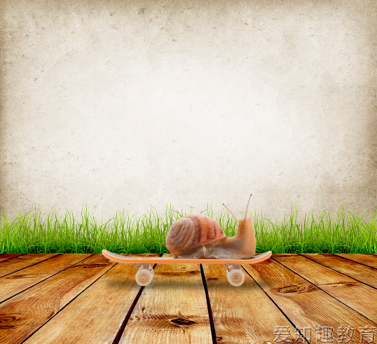 抠动物，用图层蒙版抠出在滑板上的蜗牛_www.xiutujiang.com