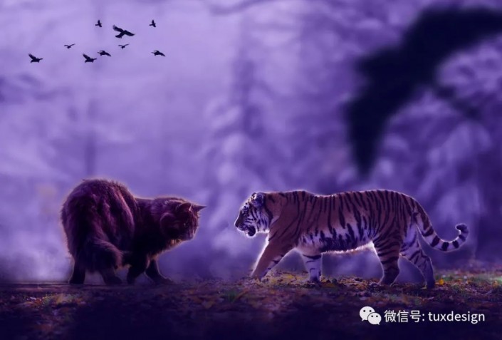 创意合成，通过Photoshop合成一幅猫虎大战一触即发的场面