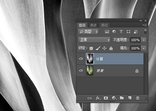 调色工具，通过PS中的计算工具给树叶调出另类的颜色_www.xiutujiang.com