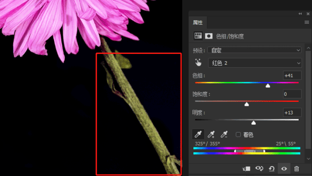 图片上色，通过PS给干花进行上色处理_www.xiutujiang.com