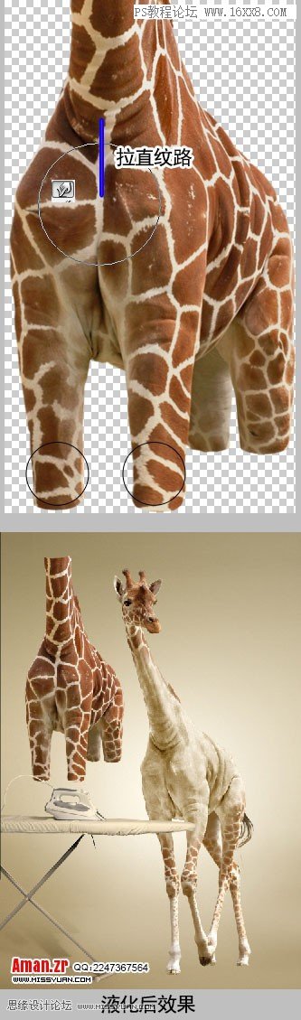 创意合成，通过Photoshop制作一幅创意的长颈鹿熨衣服的创意图片