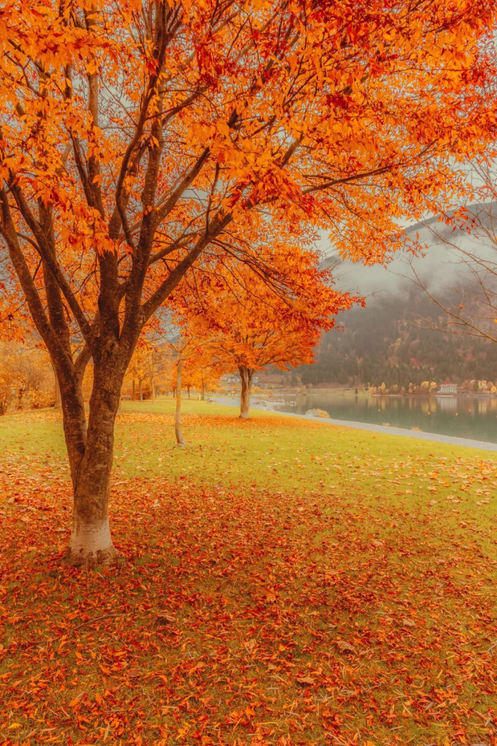风景照片，制作金色梦幻童话般的秋季风景照_www.xiutujiang.com