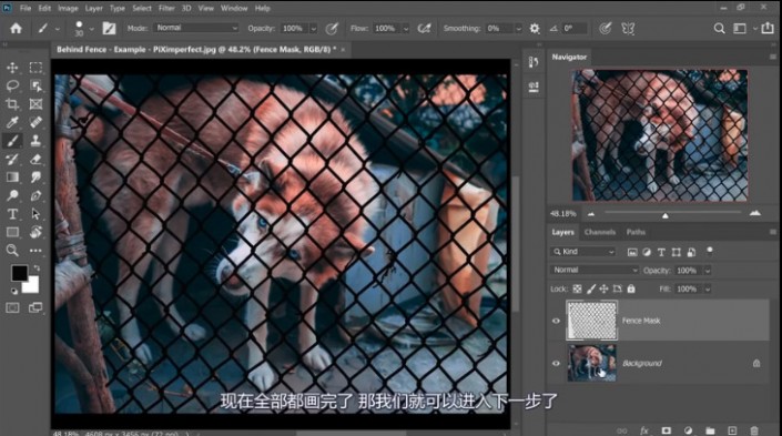 去网纹，快速高效的去除图中挡住动物的铁丝网_www.xiutujiang.com