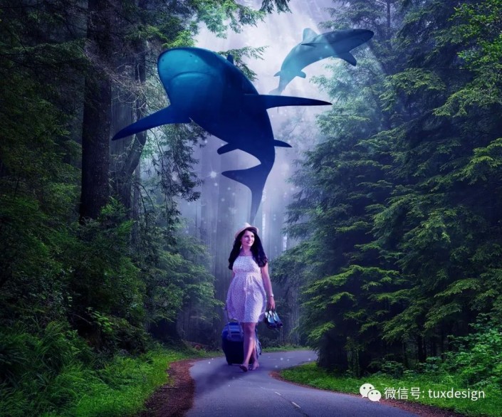 梦幻合成，通过Photoshop让鱼嬉戏在森林间